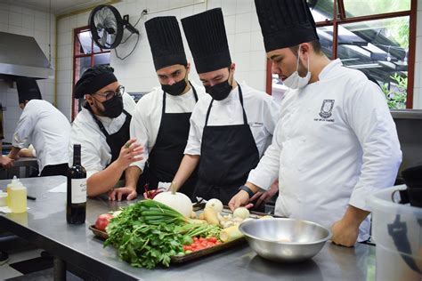  El Desafío Culinario de Ursine: ¿Un oso en la cocina o una estrella enmascarada?