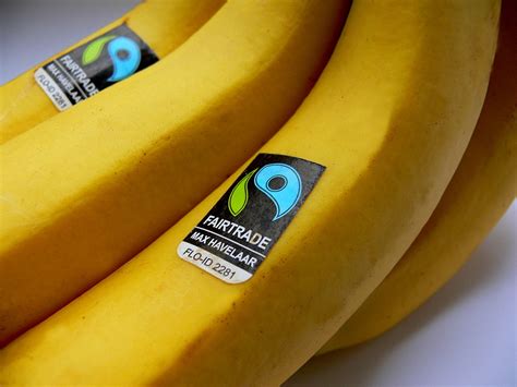 How to Build an Email List Without a Website: Why Bananas Might Be the Secret Ingredient